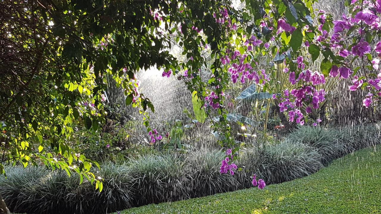 Tacacori Ecolodge Alajuela Exteriör bild