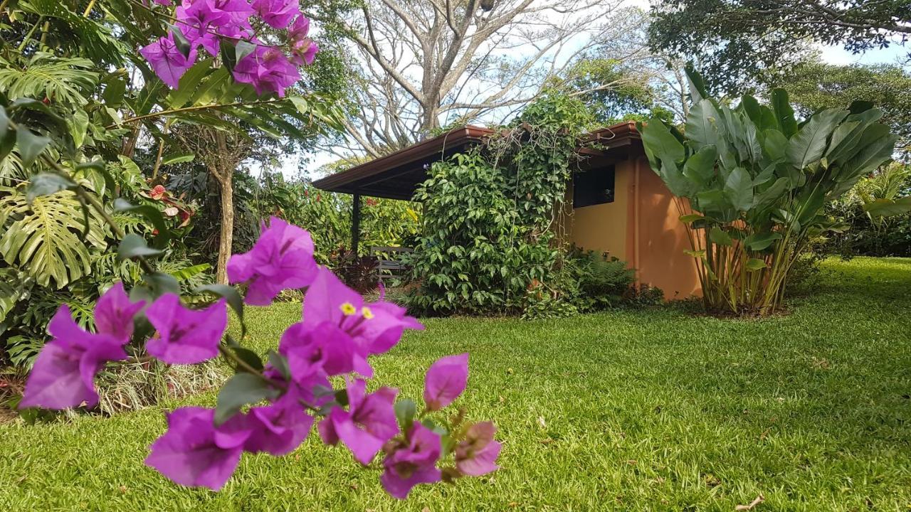 Tacacori Ecolodge Alajuela Exteriör bild