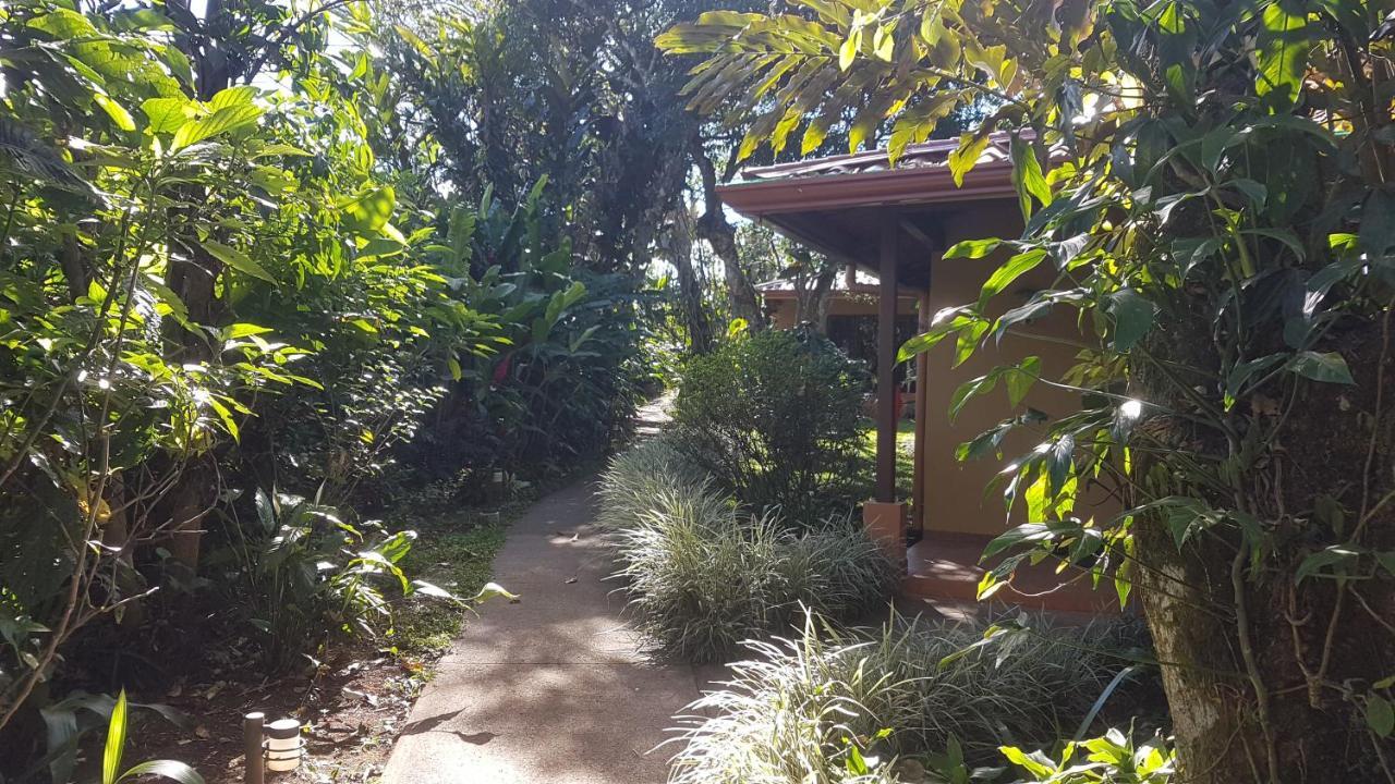 Tacacori Ecolodge Alajuela Exteriör bild
