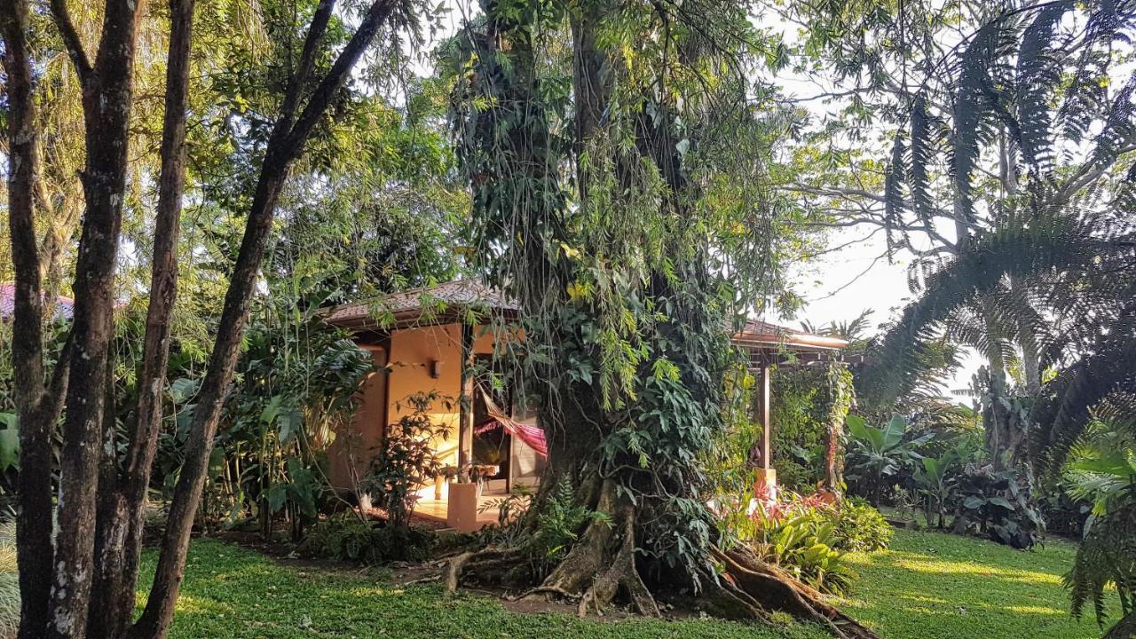 Tacacori Ecolodge Alajuela Exteriör bild
