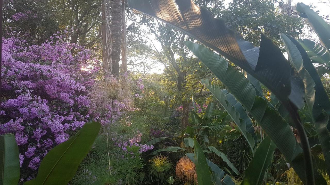 Tacacori Ecolodge Alajuela Exteriör bild