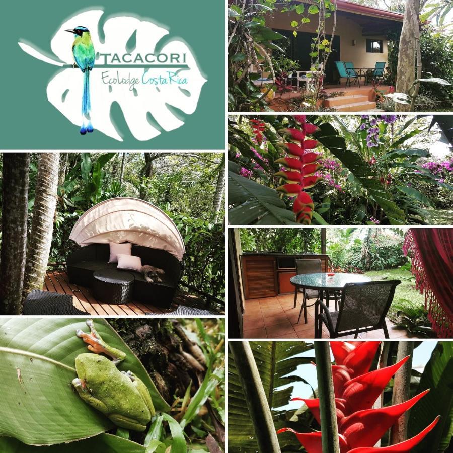 Tacacori Ecolodge Alajuela Exteriör bild