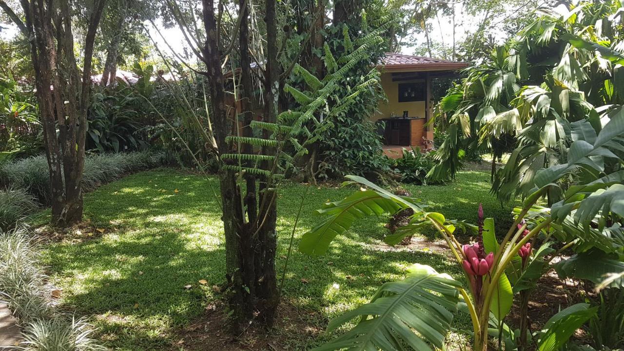 Tacacori Ecolodge Alajuela Exteriör bild