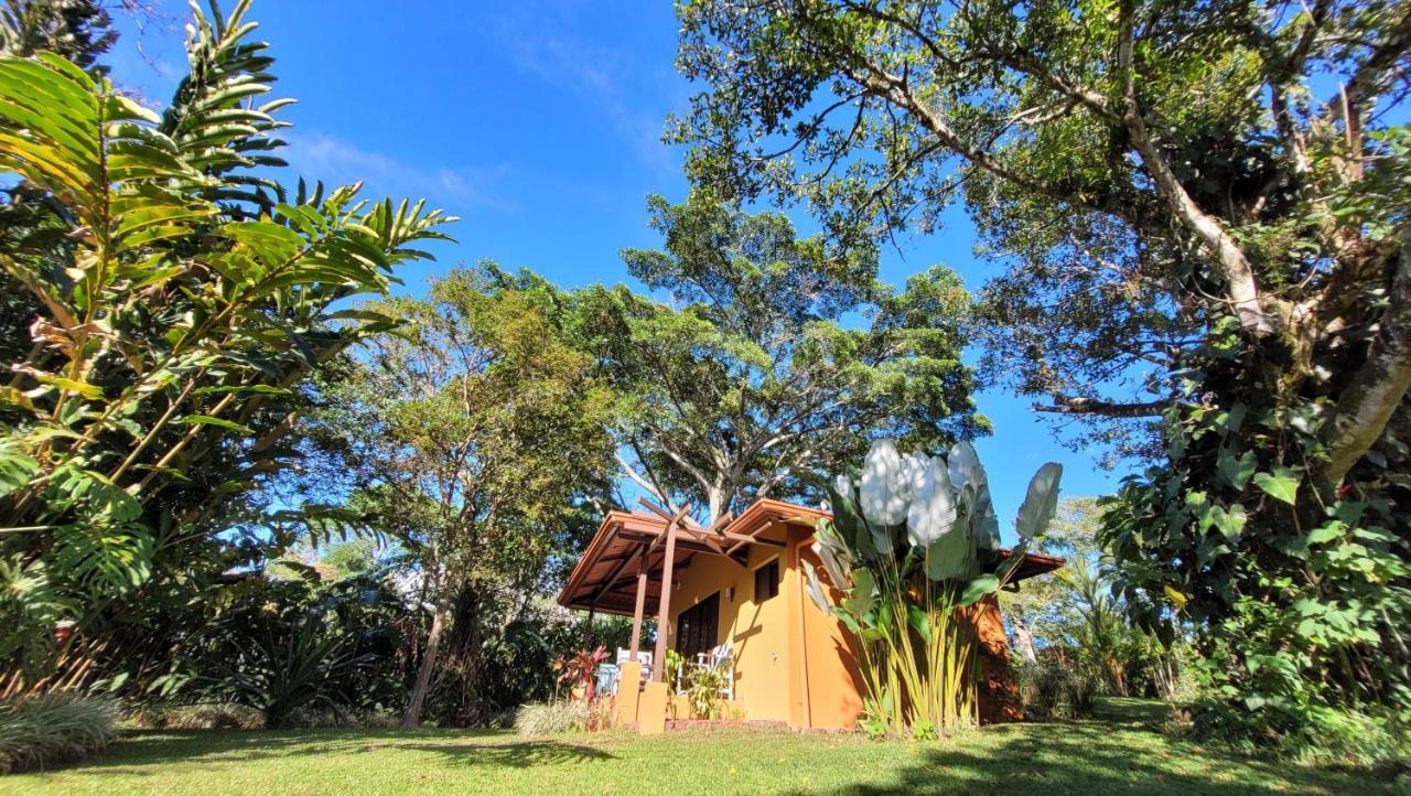 Tacacori Ecolodge Alajuela Exteriör bild