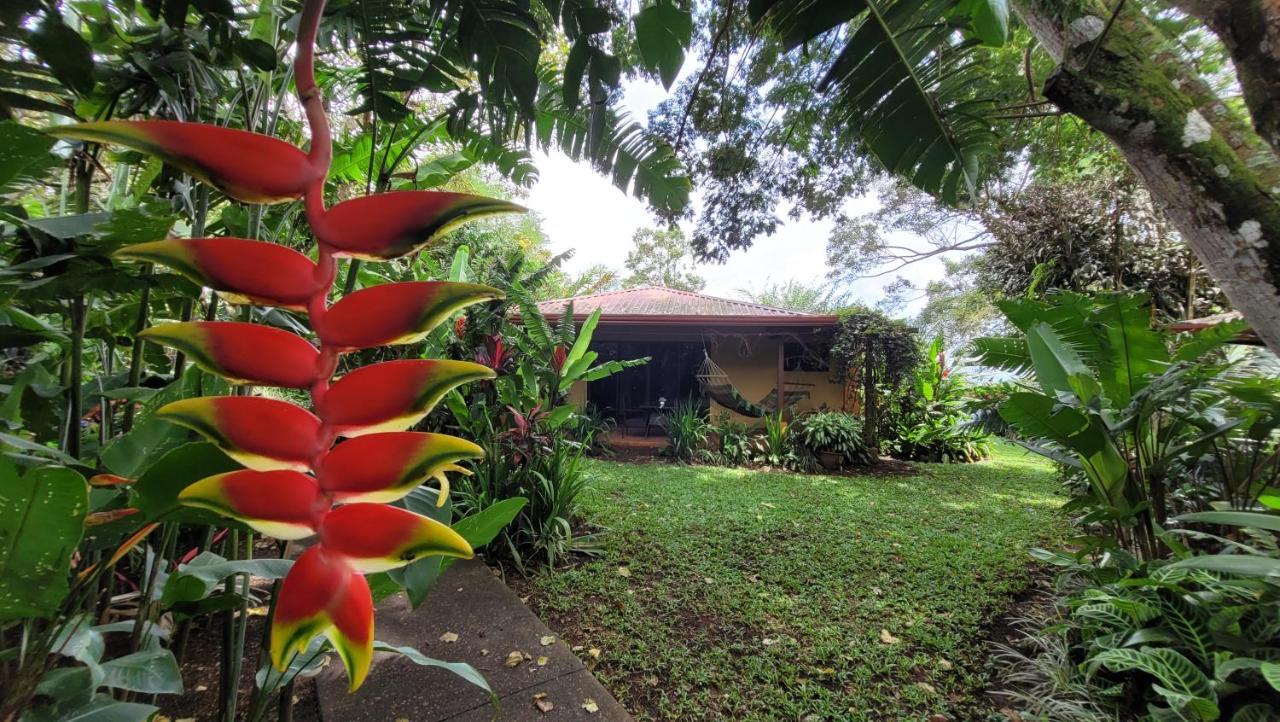 Tacacori Ecolodge Alajuela Exteriör bild