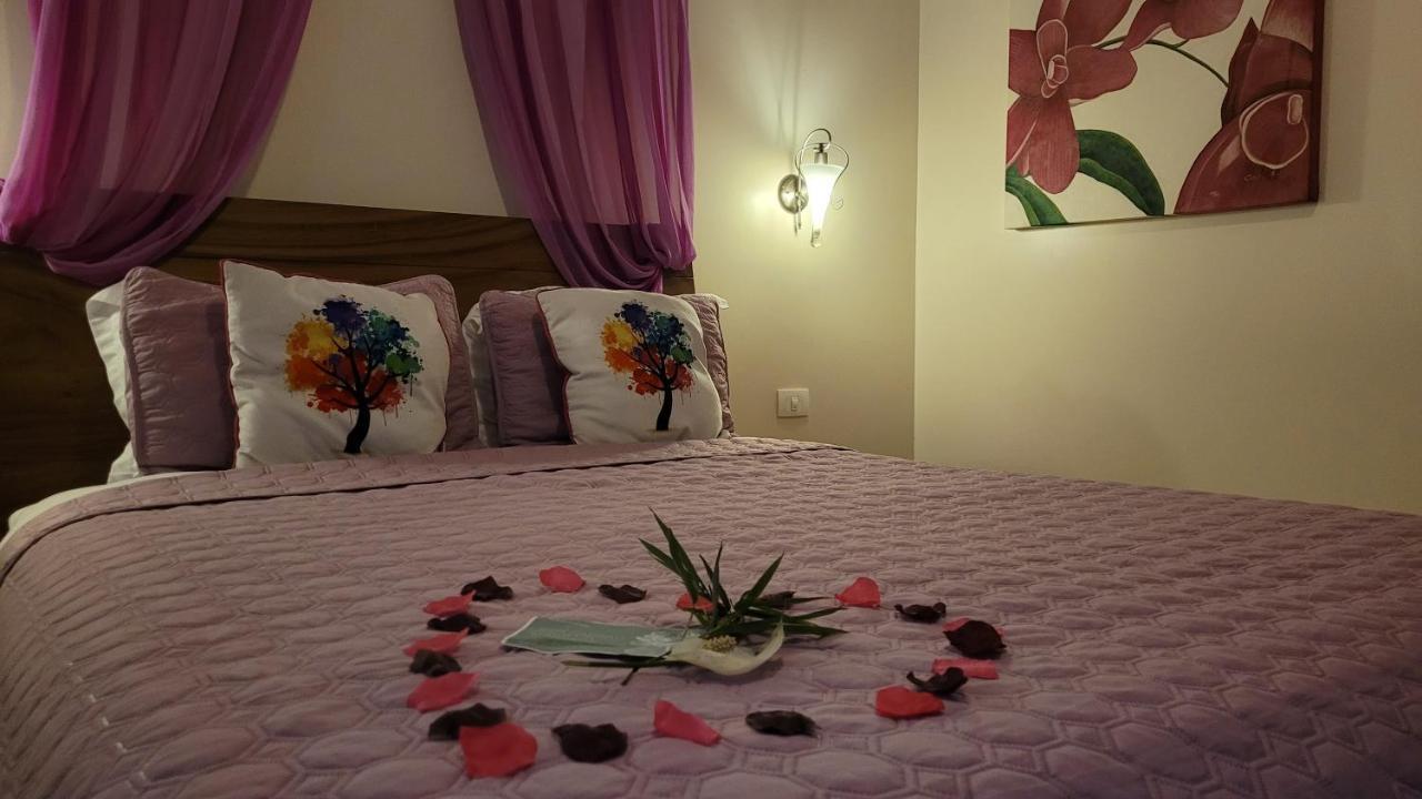 Tacacori Ecolodge Alajuela Exteriör bild