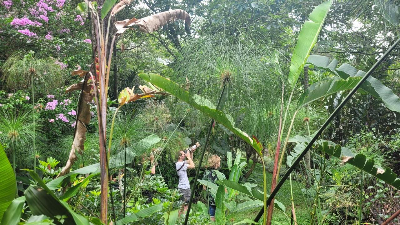 Tacacori Ecolodge Alajuela Exteriör bild