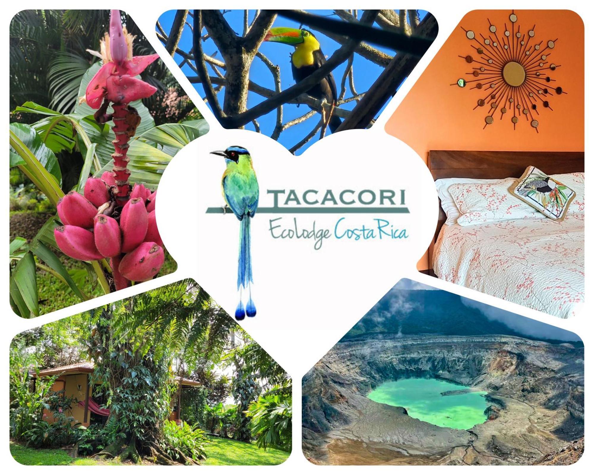 Tacacori Ecolodge Alajuela Exteriör bild
