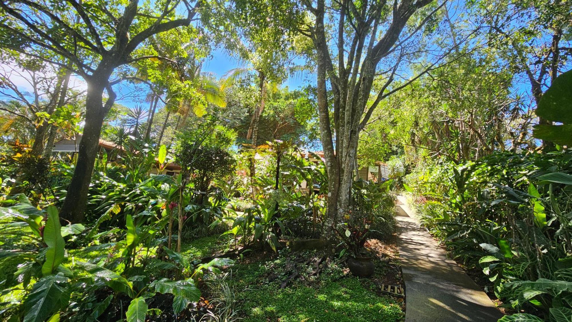Tacacori Ecolodge Alajuela Exteriör bild