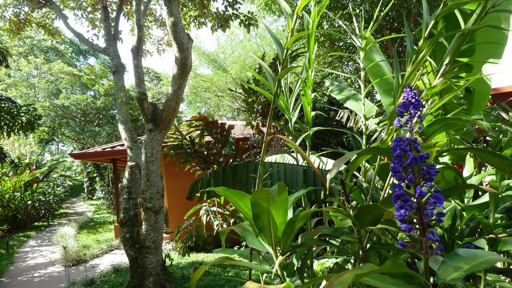 Tacacori Ecolodge Alajuela Exteriör bild