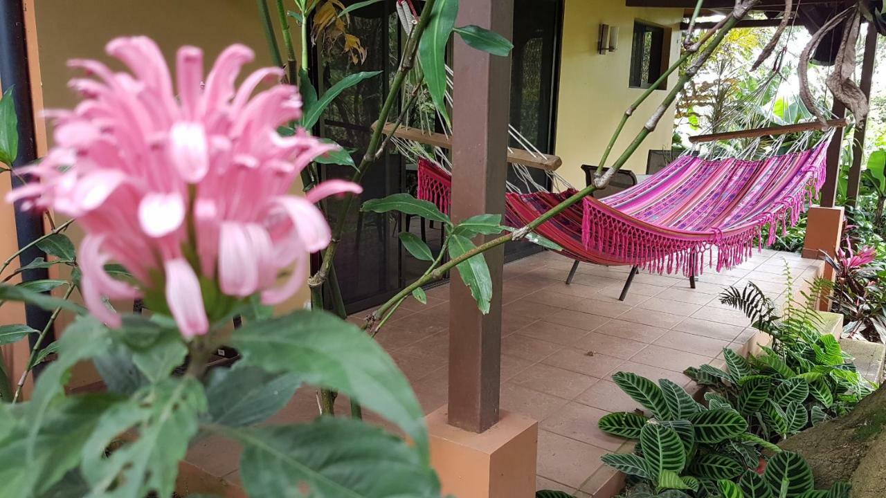Tacacori Ecolodge Alajuela Exteriör bild
