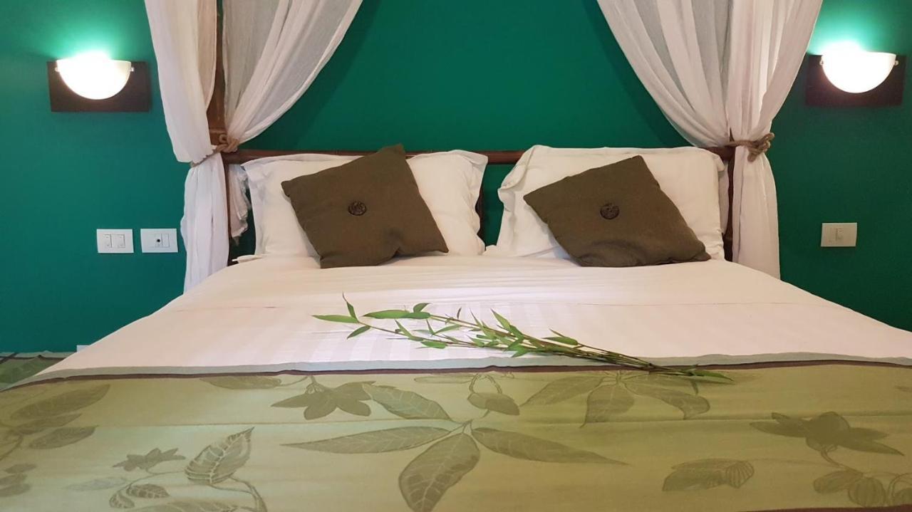 Tacacori Ecolodge Alajuela Exteriör bild